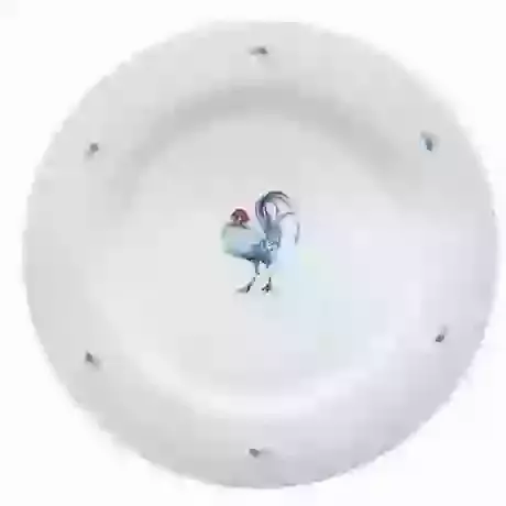 10" China Plate